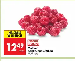 Biedronka Malina oferta