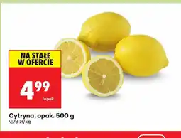 Biedronka Cytryna oferta