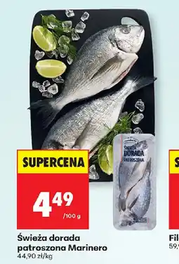 Biedronka Swieża dorada oferta