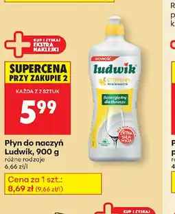 Biedronka Płyn do naczyń Ludwik oferta