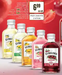 Dino Likier lubelska oferta