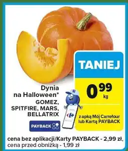 Carrefour Express Dynia na Halloween Gomez, Spitfire, Mars, Bellatrix Carrefour Express oferta