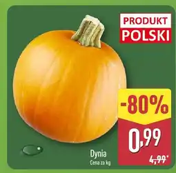 ALDI Dynia Aldi oferta