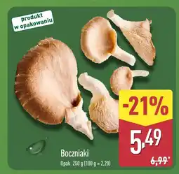 ALDI Boczniaki opak. 250 g Aldi oferta