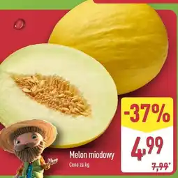 ALDI Melon miodowy Aldi oferta