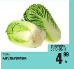 TomiMarkt Kapusta pekińska oferta