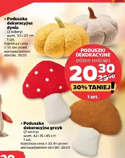 Netto Poduszki dekoracyjne oferta