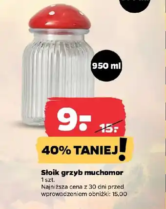 Netto Słoik grzyb muchomor oferta