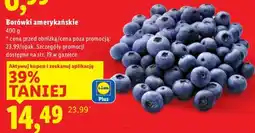 Lidl Borówki amerykańskie Lidl oferta
