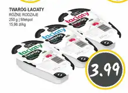 Słoneczko TWAROG LACIATY oferta