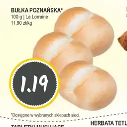 Słoneczko BULKA POZNANSKA oferta