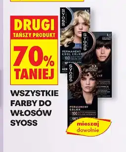 Biedronka Farby do włosów Syoss oferta