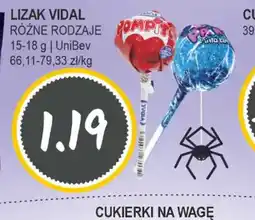 Słoneczko LIZAK VIDAL oferta