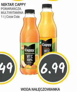 Słoneczko Nektar Cappy oferta