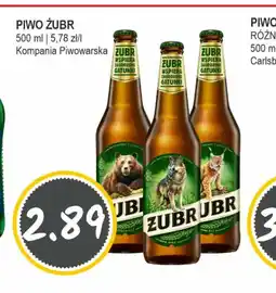 Słoneczko PIWO ZUBR oferta