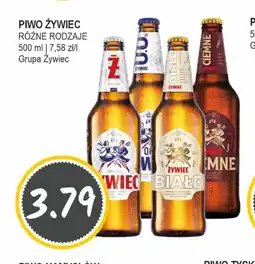 Słoneczko Piwo Zywiec oferta
