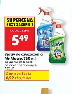 Biedronka Spray do czyszczenia Mr Magia oferta