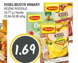 Słoneczko Nestle kisiel/budyń winiary oferta
