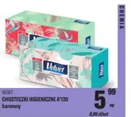 TomiMarkt Velvet chusteczki higieniczne a*120 harmony oferta
