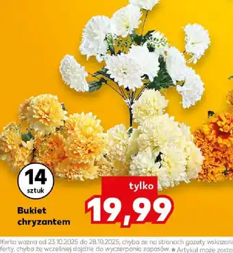 Kaufland Bukiet chryzantem oferta