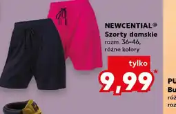 Kaufland Szorty damskie oferta