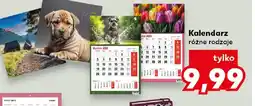 Kaufland Kalendarz oferta