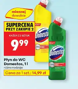 Biedronka Płyn do WC Domestos oferta