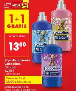 Biedronka Płyn do płukania Coccolino oferta