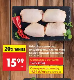 Biedronka Udo z kurczaka bez antybiotyków Kraina Mięs Select Kurczak farmerski oferta