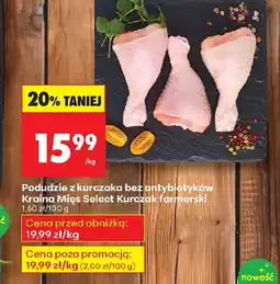 Biedronka Podudzie z kurczaka oferta