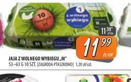 Społem Szczecin Jaja z wolnego wybiegu oferta
