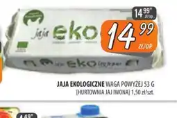 Społem Szczecin JAJA EKOLOGICZNE oferta