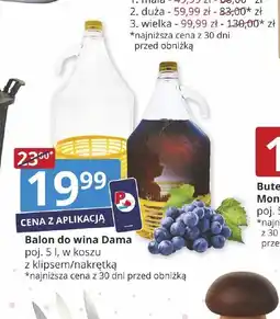 Prymus-AGD Balon do wina Dama oferta