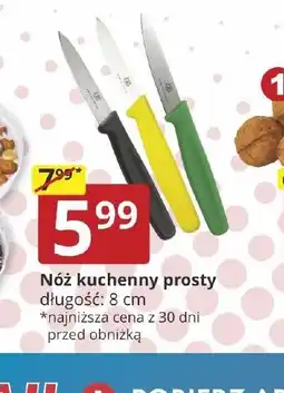 Prymus-AGD Nóż kuchenny prosty oferta