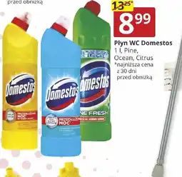 Prymus-AGD Płyn WC Domestos oferta