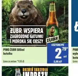 TomiMarkt Piwo Zubr oferta