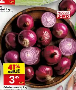 Twój Market Cebula czerwona oferta