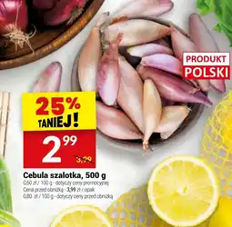 Twój Market Cebula szalotka oferta