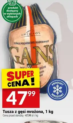 Twój Market Tusza z gęsi oferta