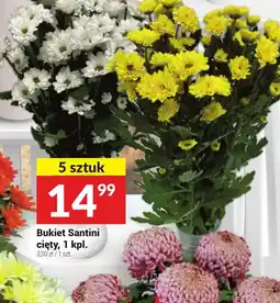 Twój Market Bukiet Santini oferta