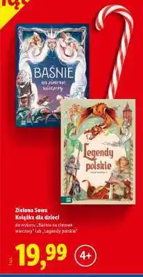 Lidl Zielona Sowa Książka dla dzieci oferta