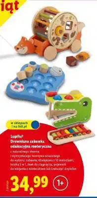 Lidl Lupilu Drewniana zabawka edukacyjna motoryczna oferta