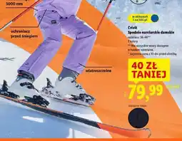 Lidl Crivit Spodnie narciarskie damskie oferta