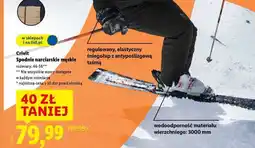 Lidl Crivit Spodnie narciarskie męskie oferta