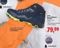Lidl Crivit Buty trekkingowe damskie oferta