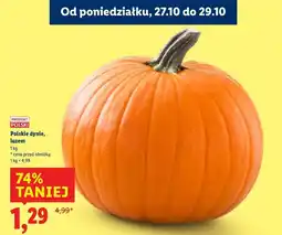 Lidl Dynia oferta