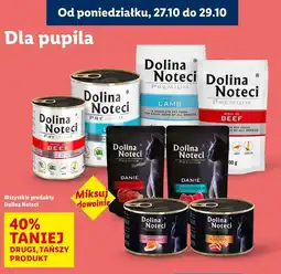 Lidl Karma dla kota bogata w łososia Dolina Noteci oferta