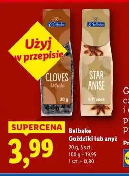 Lidl Goździki Belbake oferta
