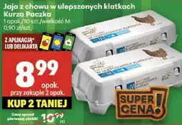 Delikatesy Centrum Jaja z chowu w ulepszonych klatkach Kurka Paczka oferta