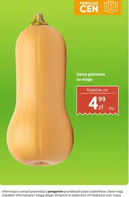Dino Dynia piżmowa na wagę Dino oferta